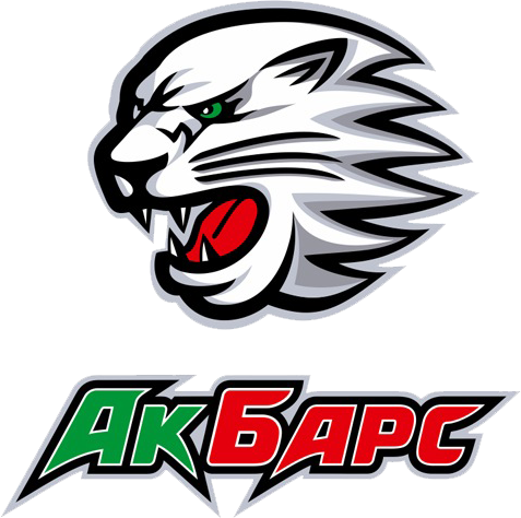 Ak Bars Kazan 2010-Pres Alternate logo iron on heat transfer...